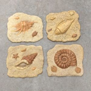 Sea Shell Fossil Decorative Wall Plaques